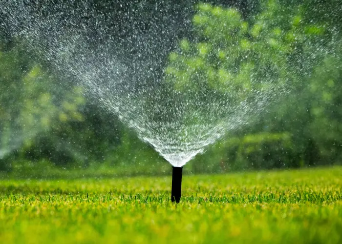 Joussain Espaces Verts Jardinier A La Trinite Liberte Et Optimisation Des Espaces