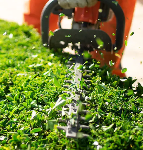 Joussain Espaces Verts Jardinier A La Trinite Taille Et Debroussaillage Joussain Espaces Verts Jardinier A La Trinite Taille Et Debroussaillage